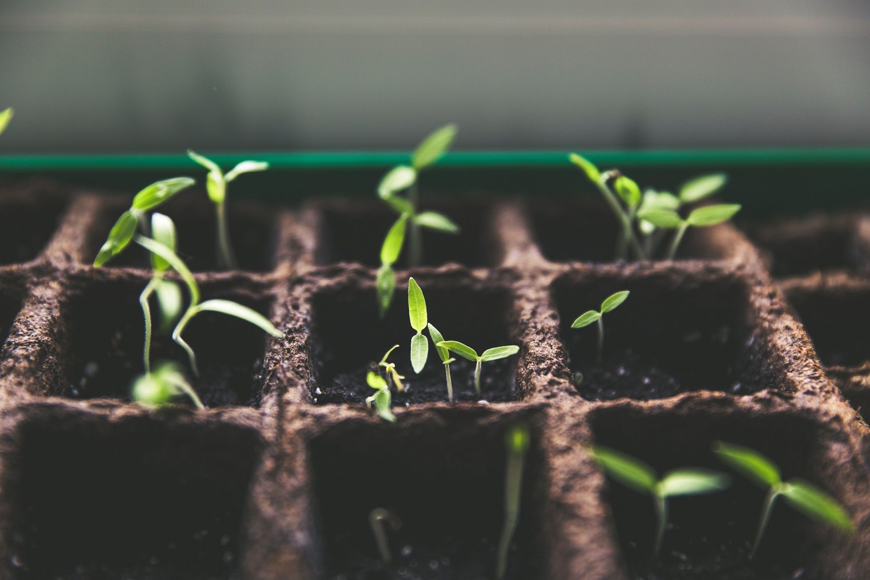 Empowering Partnerships: An Inside Look at Vates' New Partner Program