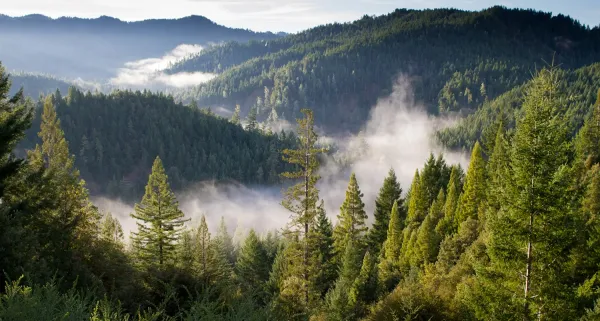 Fujifilm MicroChannel: What a well-planned migration can change